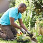 Green Waste Removal Near Me: How to Clear Your Yard Without the Hassle
