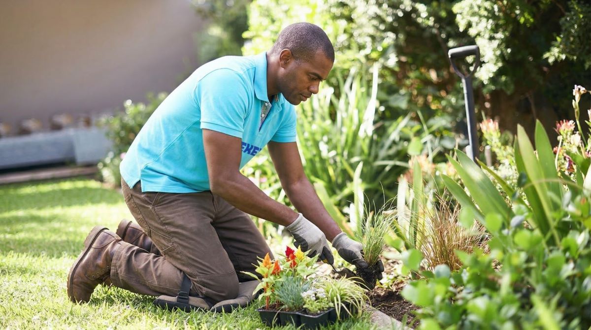Green Waste Removal
