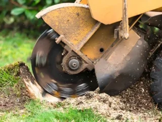 service_Stump_Grinding-768×517-1
