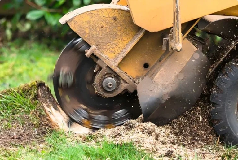 Stump Grinding Sydney