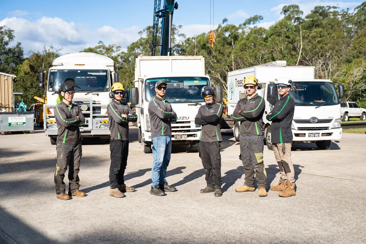 Tree Removal Sydney